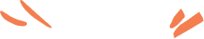 decorative highlights